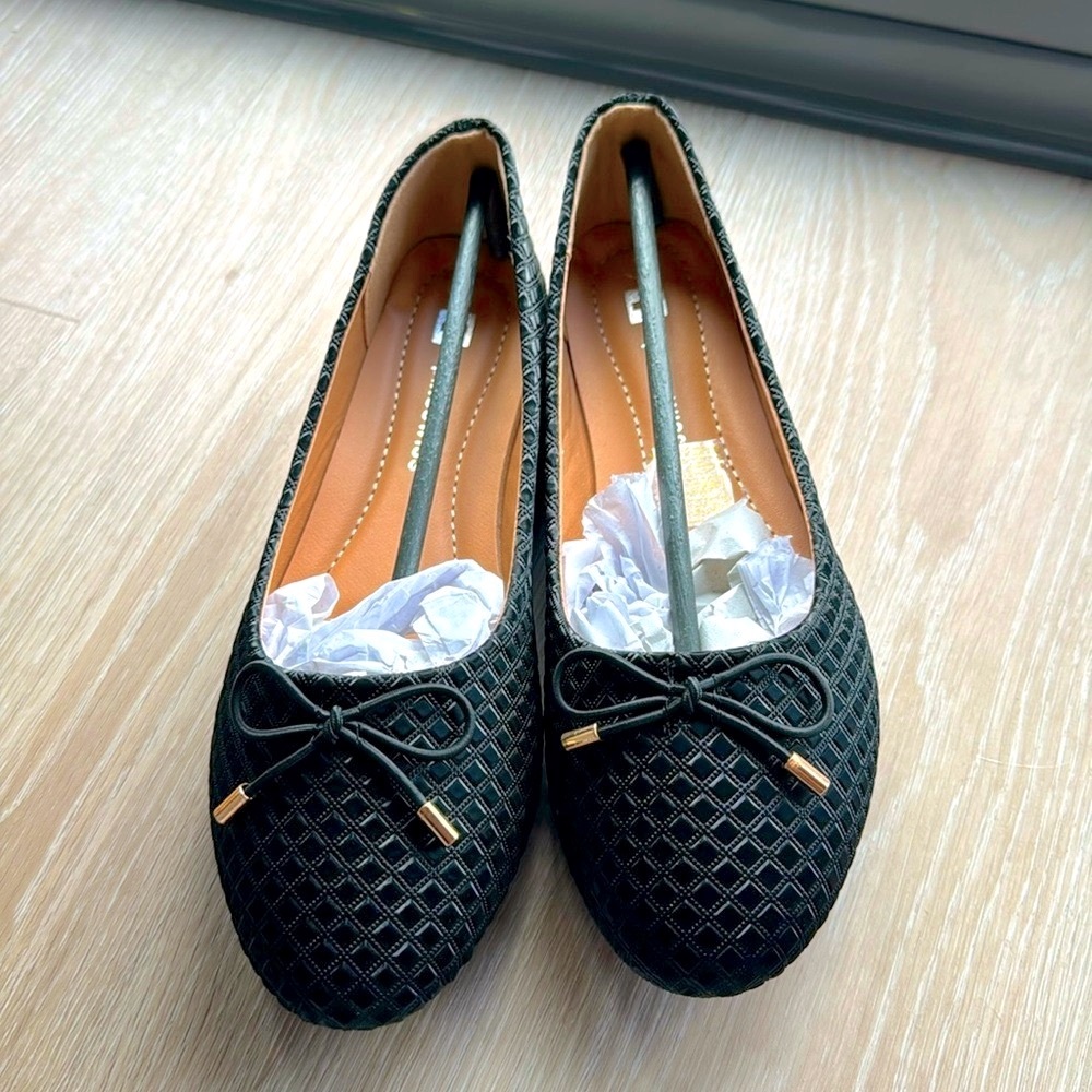 Claire Ballet Flats NEW 🏷️